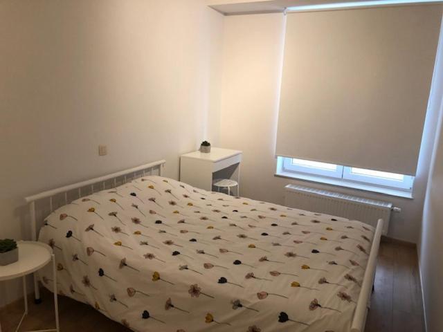 Vakantie Appartement Allure, Met Zuidgericht Tuintje Остенде Экстерьер фото